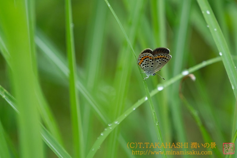 ../Images/7R240714 (38).jpg